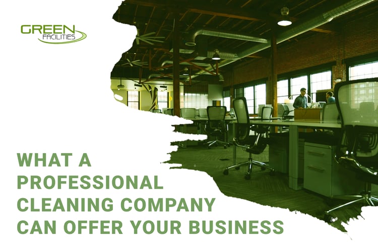 What Professional Cleaning Company Can Offer Your Business