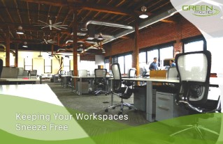 Keeping Your Workspaces Clean And Sneeze Free