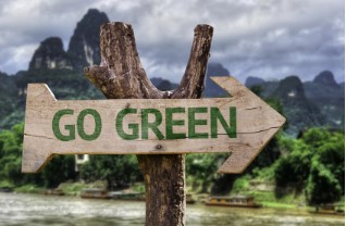 Eco friendly cleaning with a Go Green wooden sign with a forest background