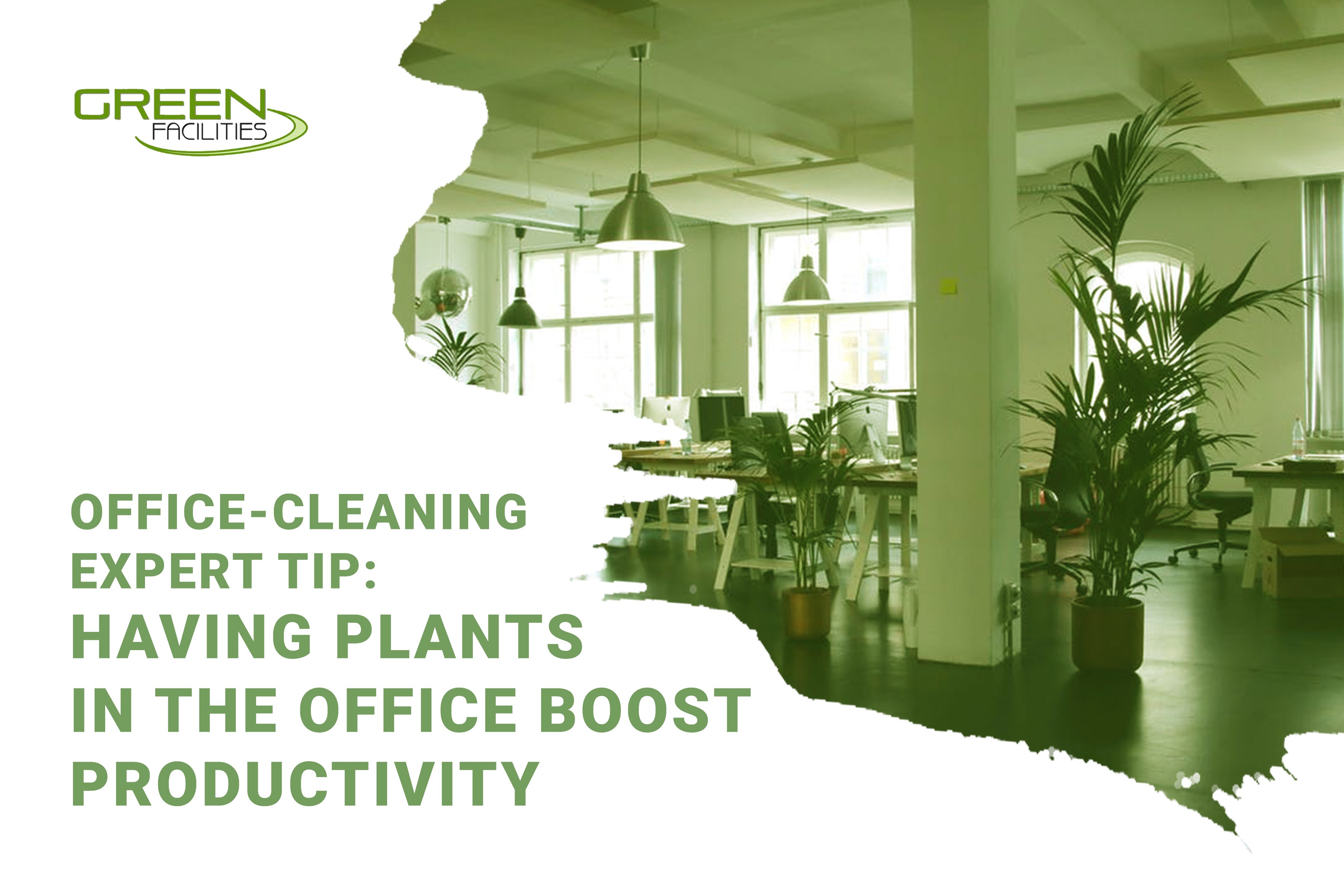 Office-Cleaning Expert Tip: Having Plants in the Office Boost Productivity