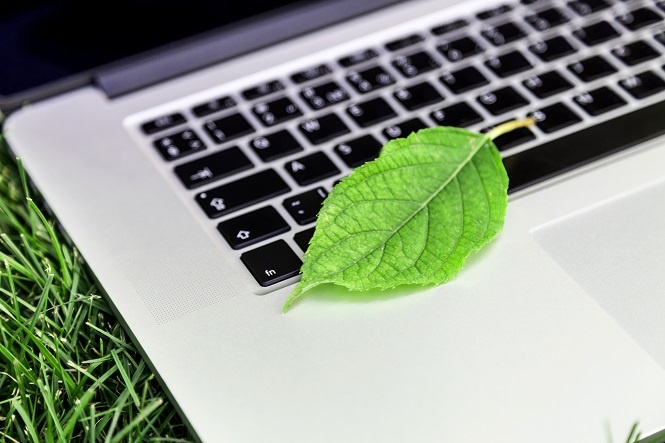How to Reduce the Carbon Footprint of Your Office