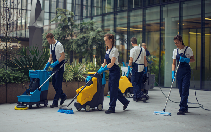 professional cleaners